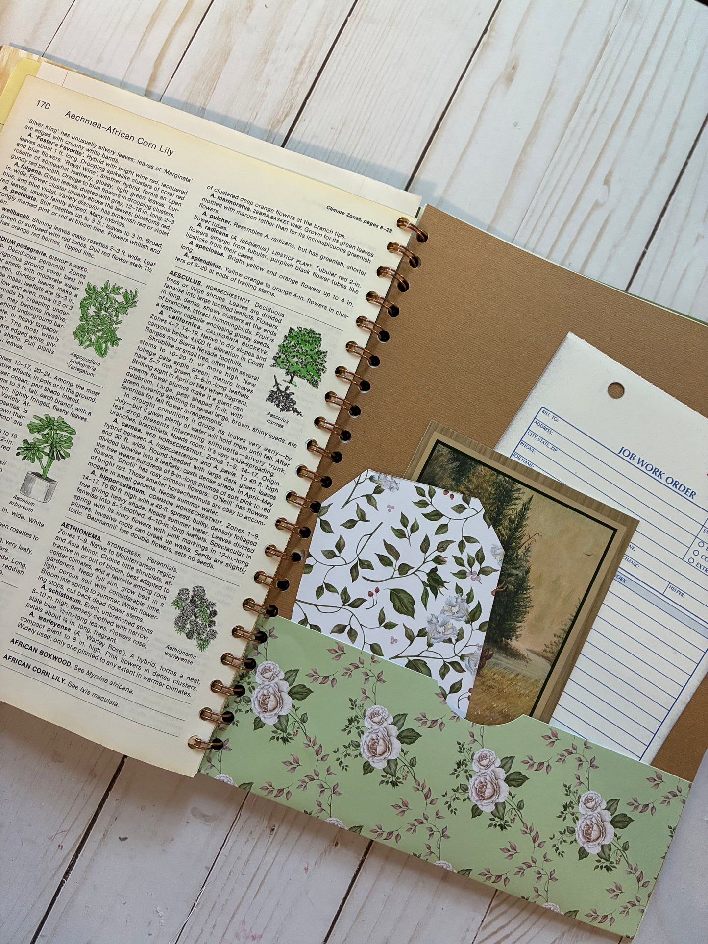 Junk Journal Base Book, Perfect For Beginners