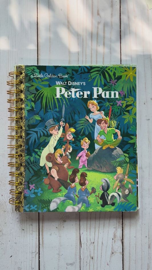Peter Pan Storybook Journal Spiral Bound